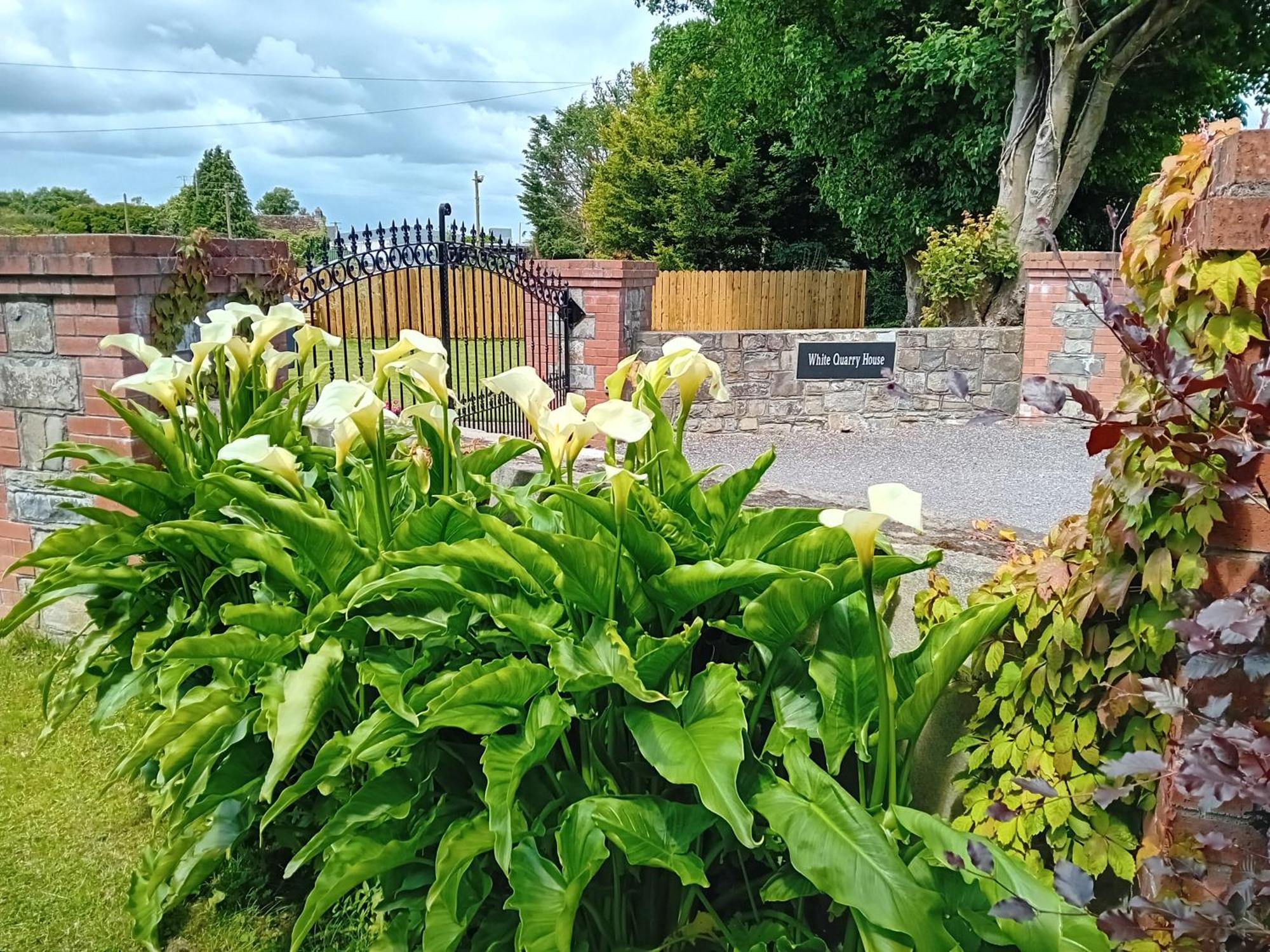 Gasthaus White Quarry Hse Quarry Road Navan Exterior foto